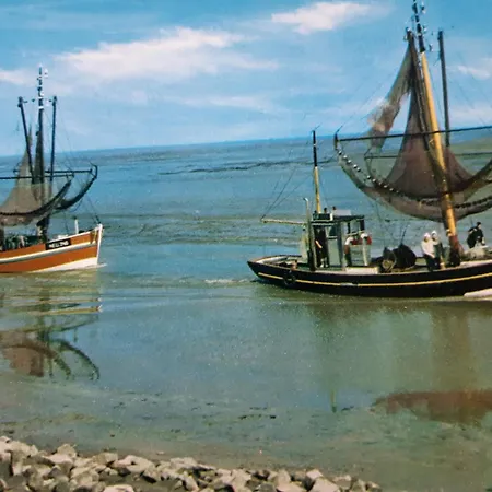 Nordseeferienhaus-alma Lejlighed Nibøl