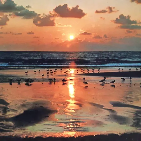 Lejlighed Nordseeferienhaus-alma *