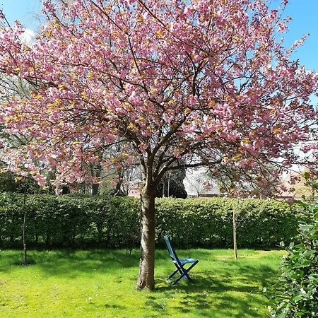 Lejlighed Nordseeferienhaus-alma