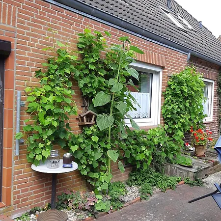 Nordseeferienhaus-alma Apartment Niebull